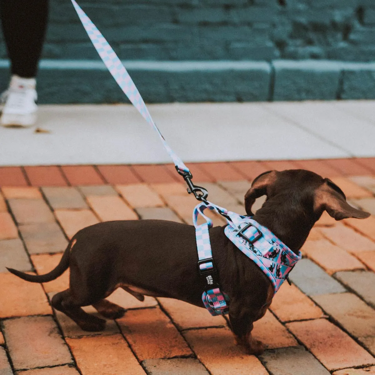 adjustable harness - pop art pups