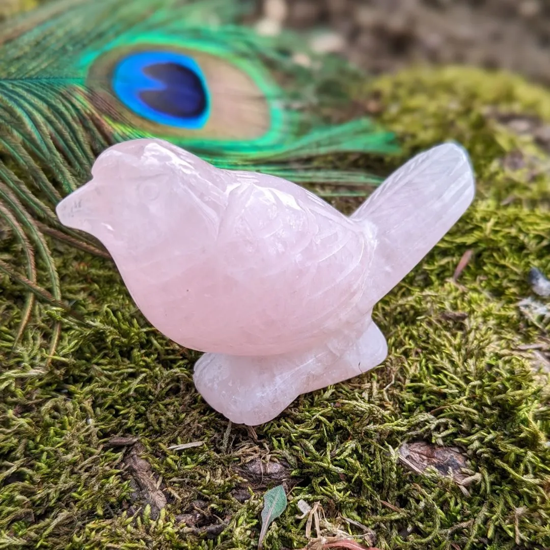 Adorable Rose Quartz Spring Bird Carving ~ Pink Crystal Carving~ Sweet Tones to Heal the Heart Chakra