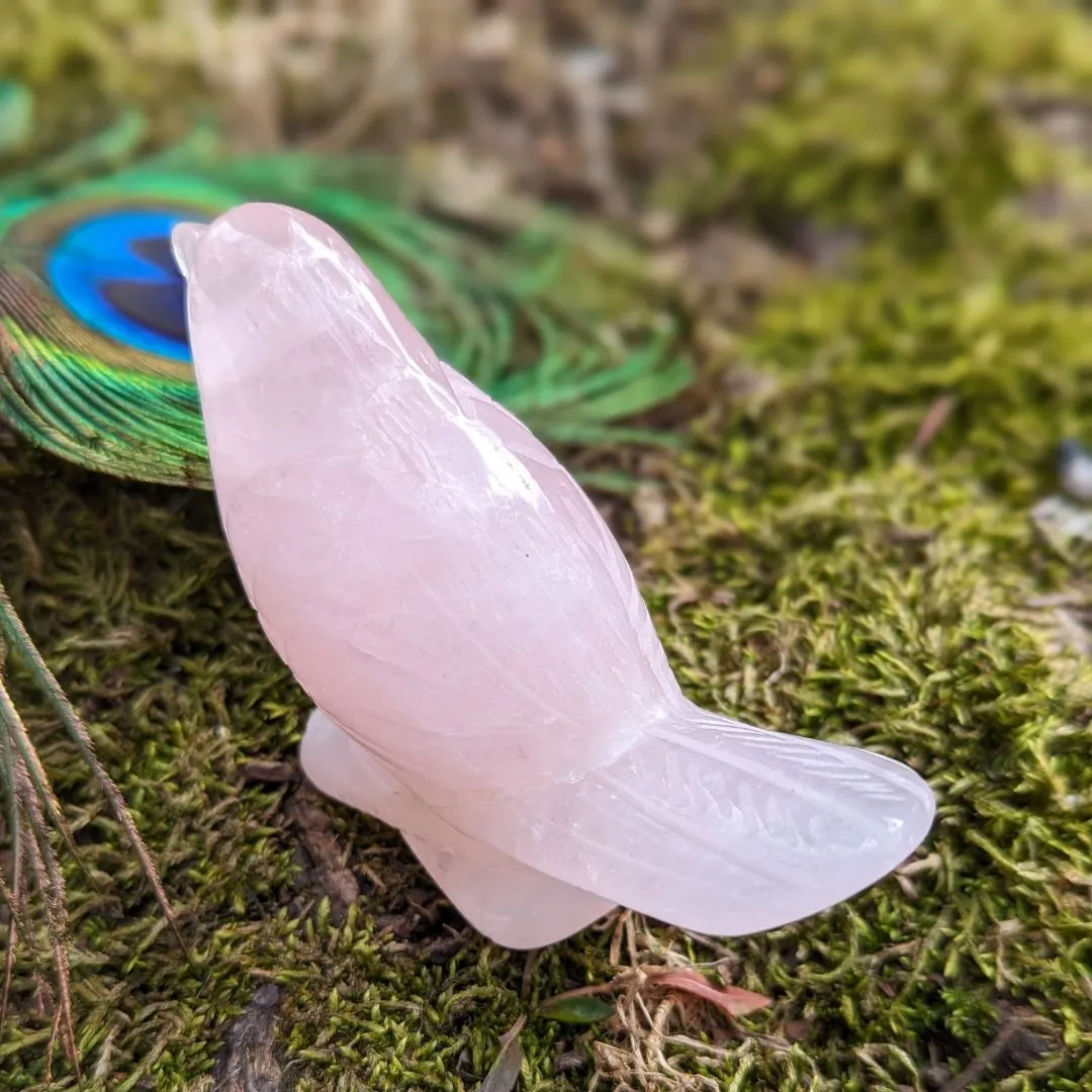 Adorable Rose Quartz Spring Bird Carving ~ Pink Crystal Carving~ Sweet Tones to Heal the Heart Chakra