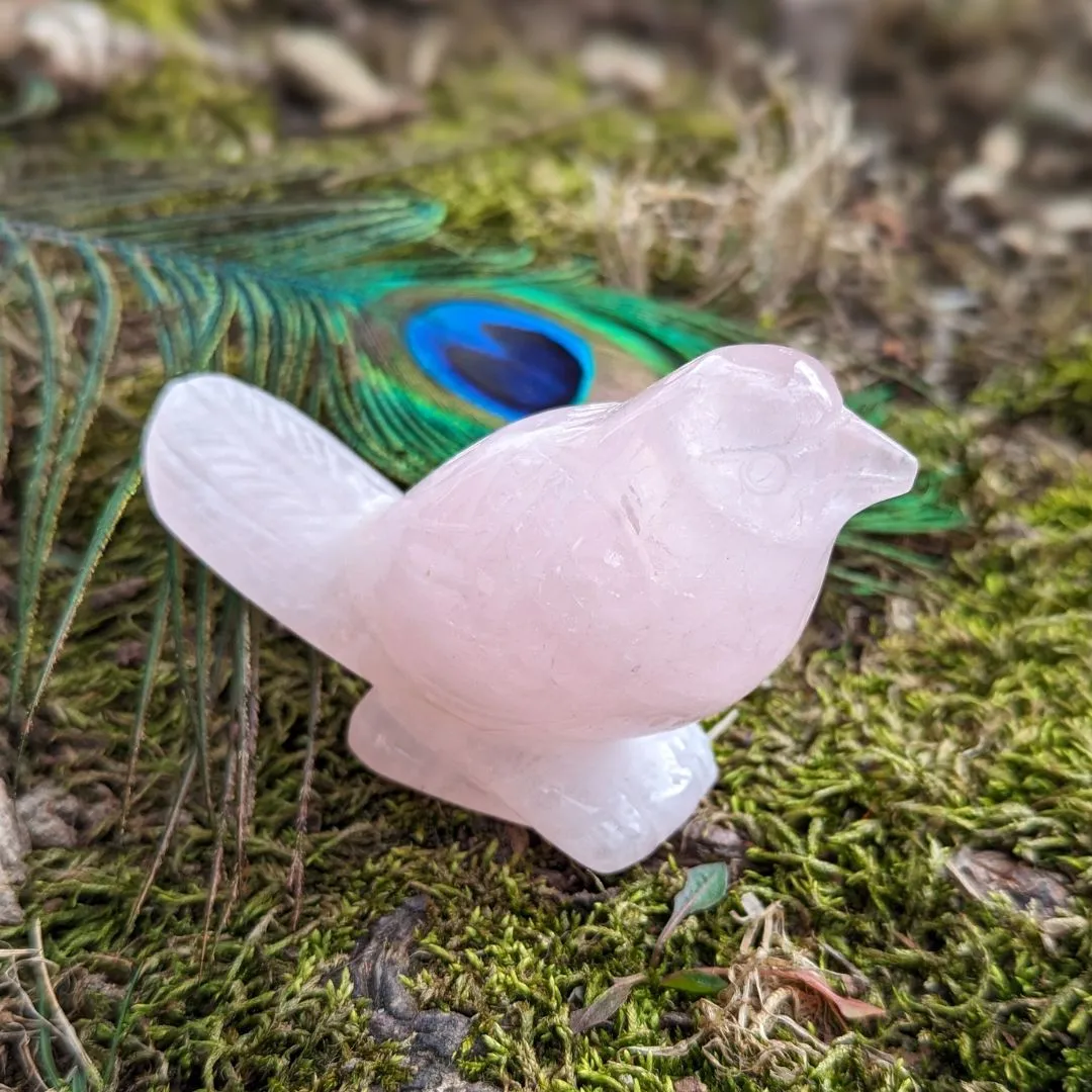 Adorable Rose Quartz Spring Bird Carving ~ Pink Crystal Carving~ Sweet Tones to Heal the Heart Chakra