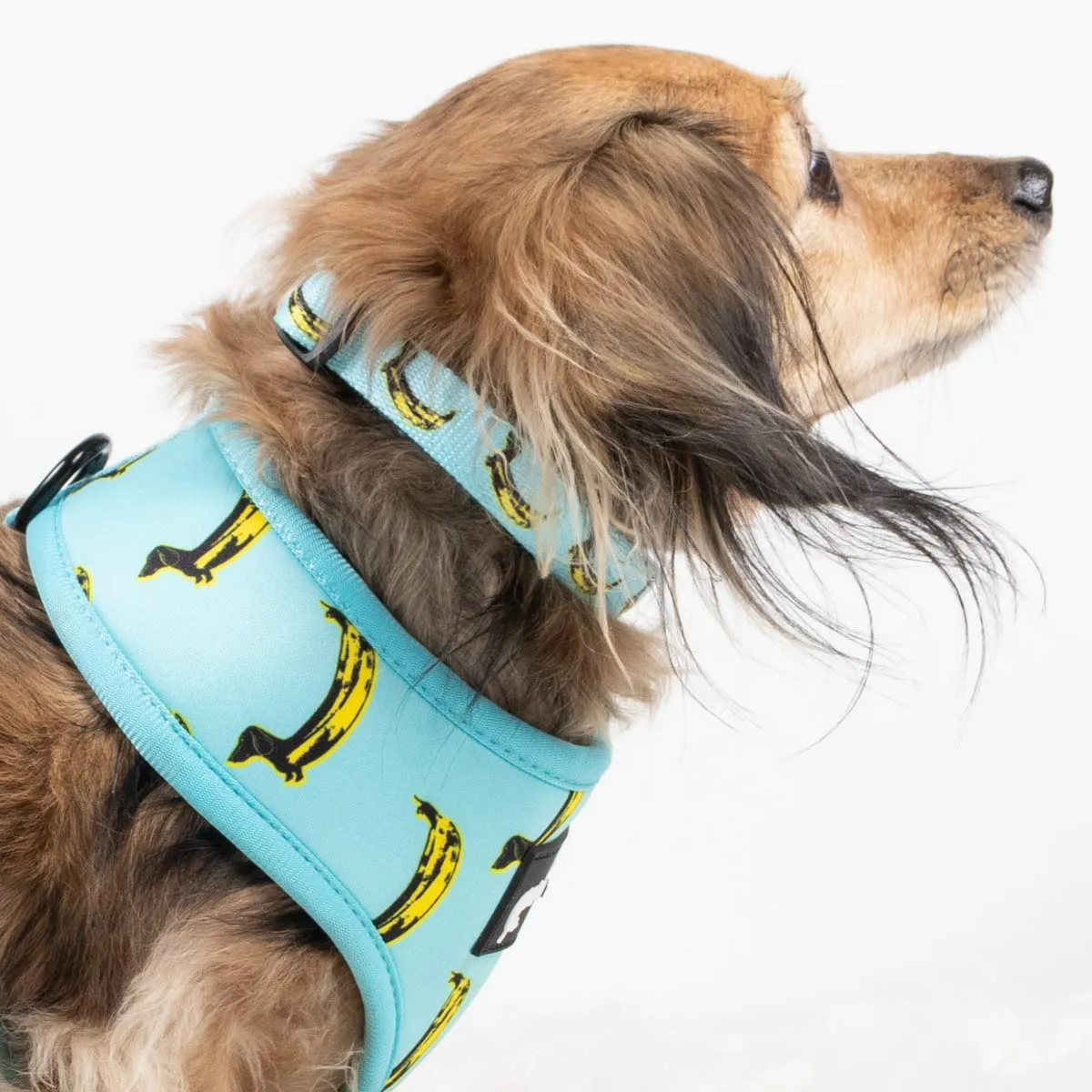 collar - banana wiener