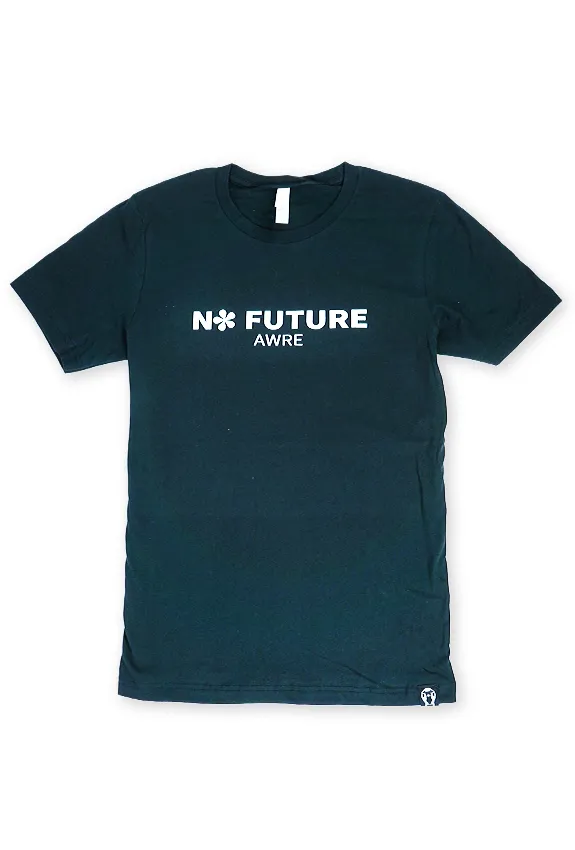 NF N* future