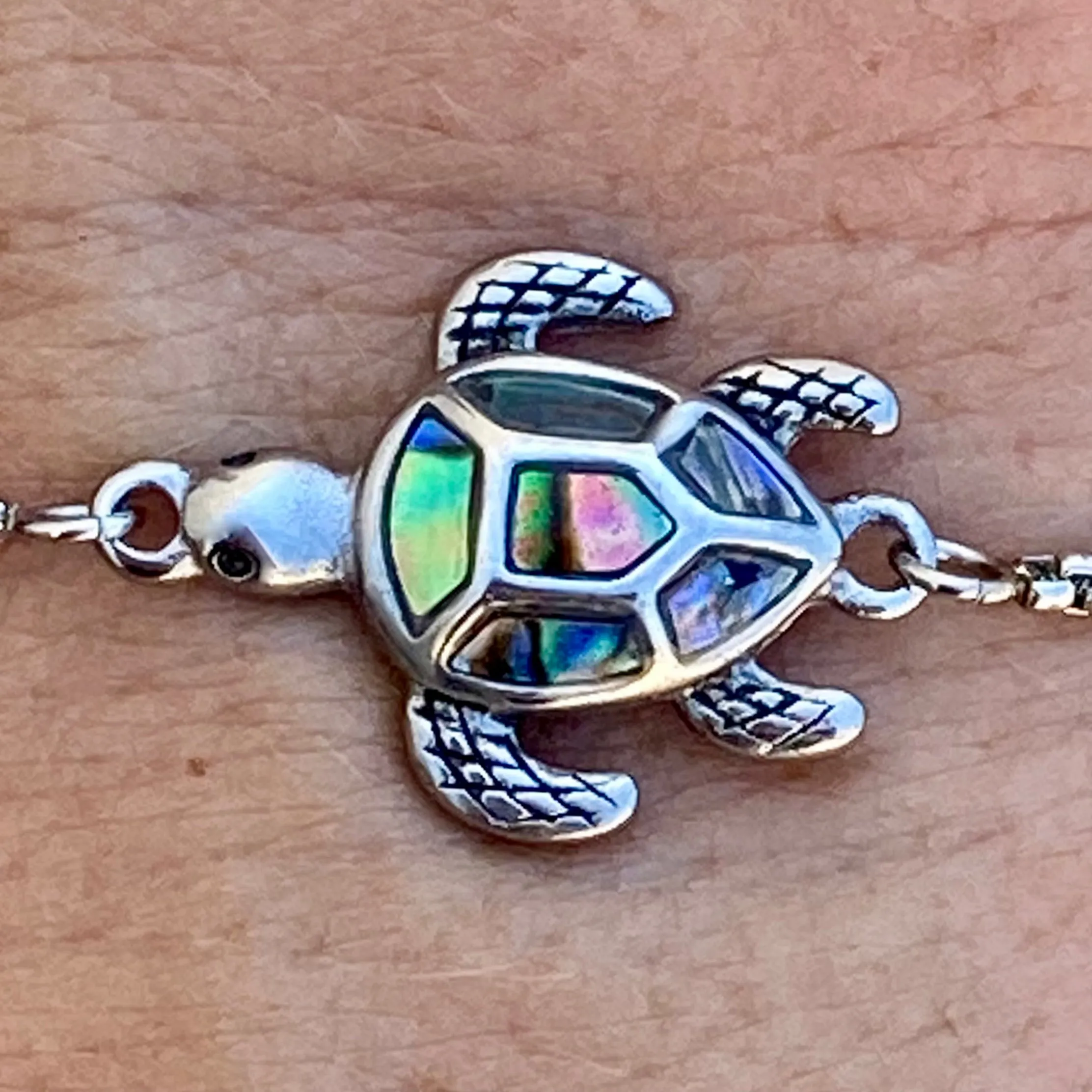 Sea Shell Sea Turtle - Bracelet - 2567B