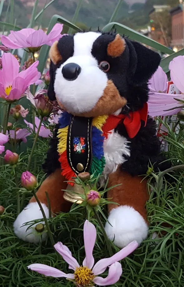 Signature "Alpen Schatz" Stuffed Bernese Mountain Dogs