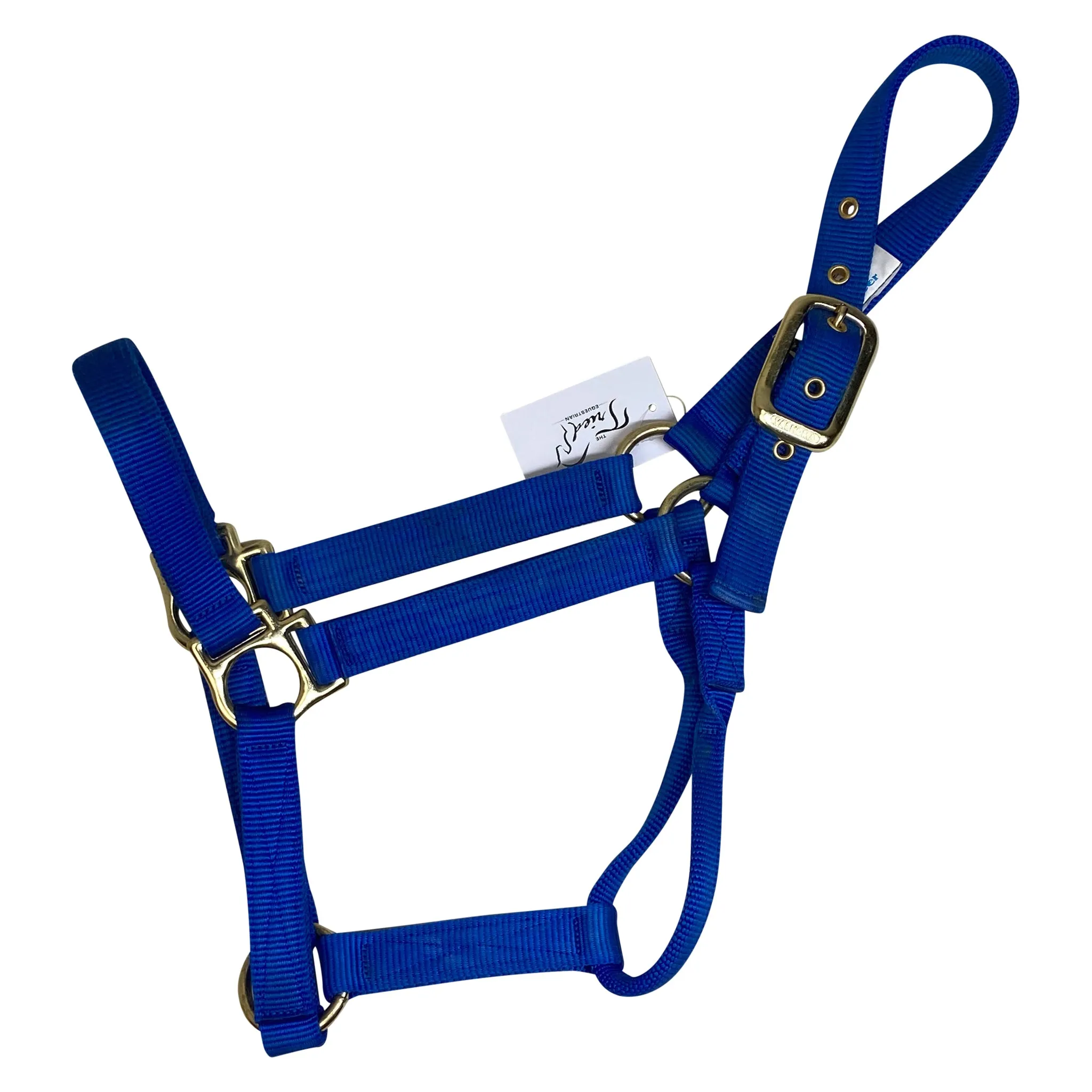 Valhoma Nylon Halter in Royal Blue - Medium Horse